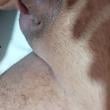 Mídia de luciene_3350