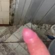 Mídia de ludan_aventureiro
