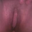 Mídia de luizaandrade22