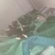 maduro_4807