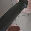 magrinho67_6833