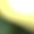 Mídia de mamae_do_anal