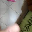 marcelo_5142