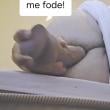 Mídia de marcondesjc