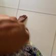Mídia de marybombom_9925