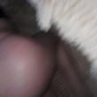 Mídia de massagistasexy77
