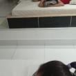 Mídia de mineirinho485
