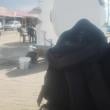 
Praia de camapum