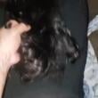 Mídia de morenasensualbsb
