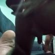 
Adoro brincar com meu cuzi...