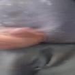 Mídia de morenoescorpianoam