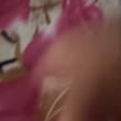 
Amiga deliciosa do log