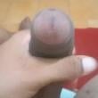Mídia de murilo_20cm