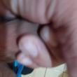 Mídia de nasci0712