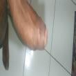 Mídia de negaomisterioso10