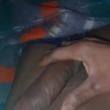 Mídia de negaoroludo202