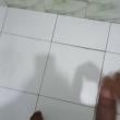 Mídia de neggodelicioso94