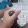 
Alguém pra me fazer gozar?