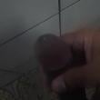 Mídia de negoboreu