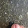 Mídia de ney_comedor20