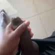 Mídia de nnovinho21cm