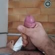 novatocasadosp