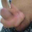novin_sp021