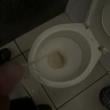 Mídia de novinho035sexo