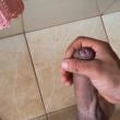 Mídia de novinho24_6536