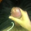 novinho8o28