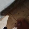 
Gozada antes de ir trabalhar