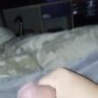 novinhocheirosozn