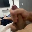 Mídia de novinhode_spp