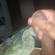 Mídia de novinhodotado20cmcol