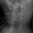 novinhomorenosx