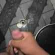 novinndotado228