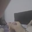 Mídia de paehlove
