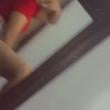 Mídia de palominhatrans
