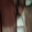 pamda_4519