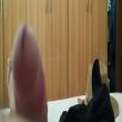 parceiroamigo_9407