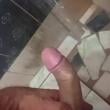 Mídia de paugrosso0392