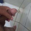 Mídia de paugrossocharmoso
