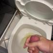 Mídia de pauzudo_3837