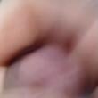 pedro61_7972