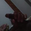 pedro_6389