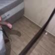 Mídia de pretaodtd