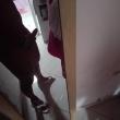 Mídia de pretinho_7177
