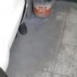 Mídia de profmaluco