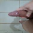 promissao83