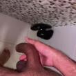 ramon_1389
